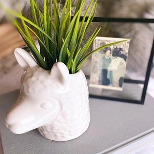 Llama Head Planter NWT